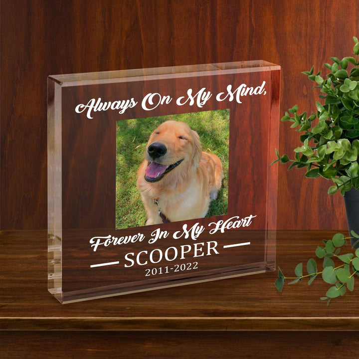 Always On My Mind - Dog Memorial Gifts - Square Acrylic Plaque