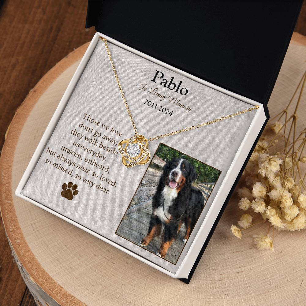 Those We Love Don't Go Away Dog Memorial Gifts - Message Necklace