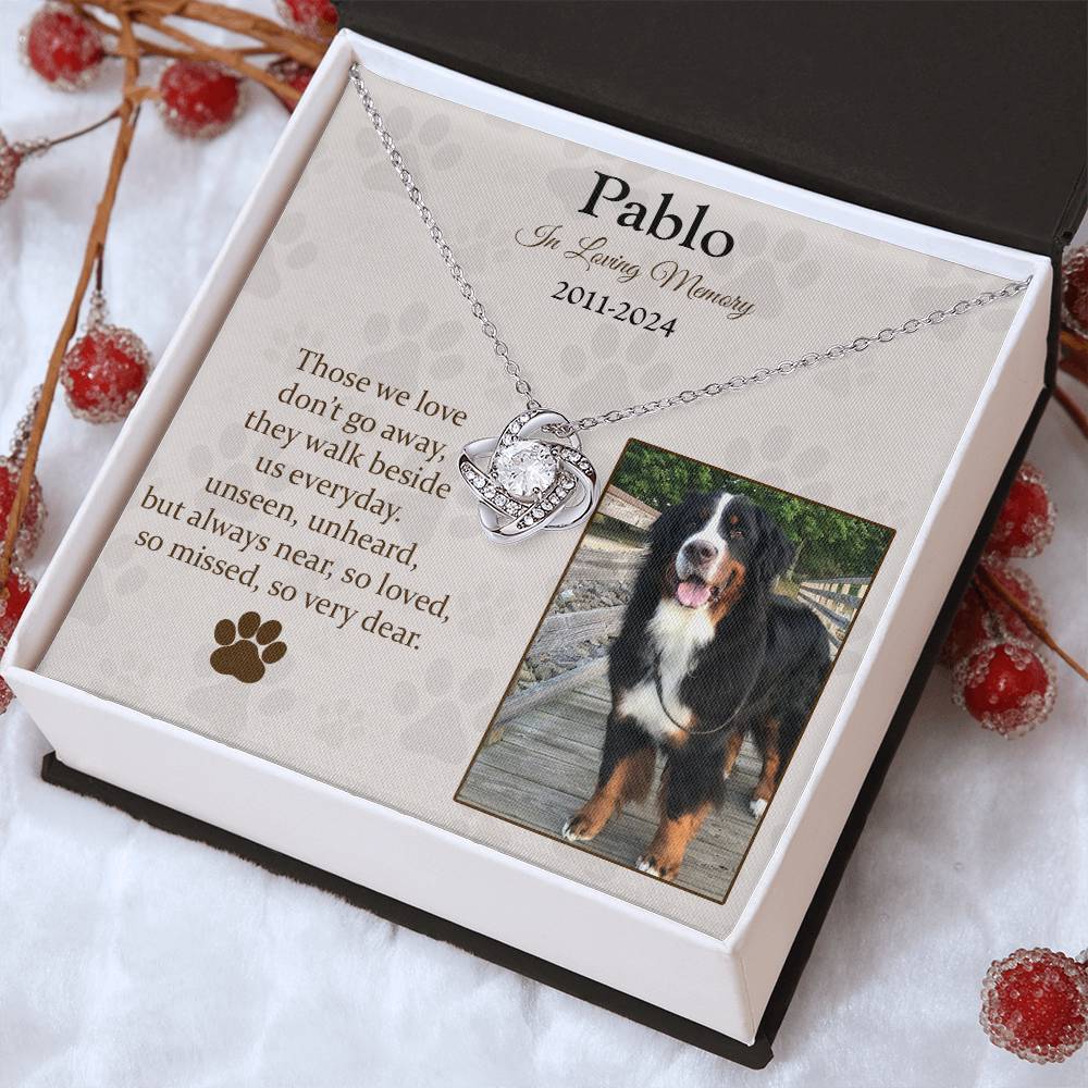 Those We Love Don't Go Away Dog Memorial Gifts - Message Necklace