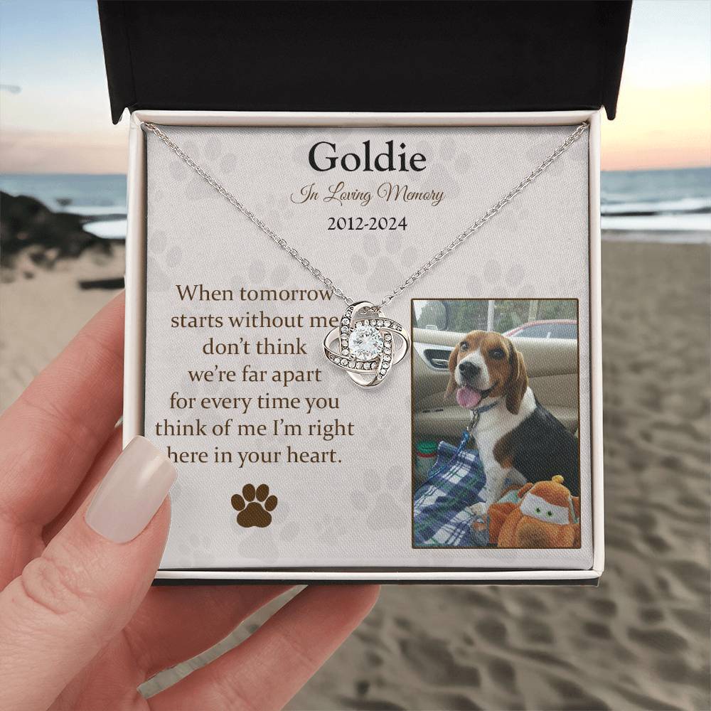 When Tomorrow Starts Without Me Dog Memorial Gifts - Message Necklace