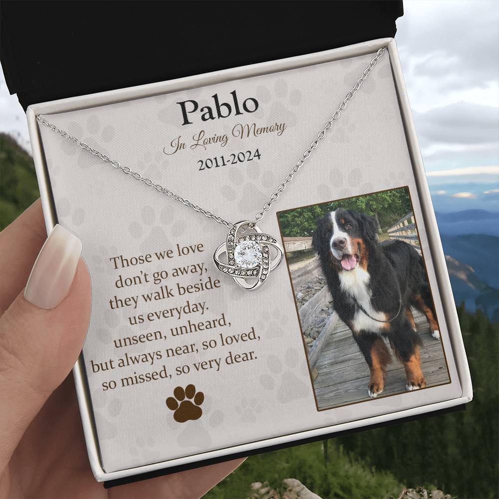 Those We Love Don't Go Away Dog Memorial Gifts - Message Necklace