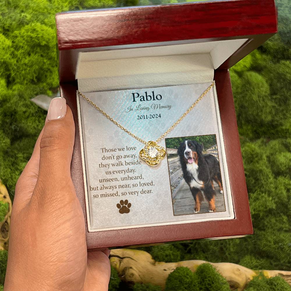 Those We Love Don't Go Away Dog Memorial Gifts - Message Necklace