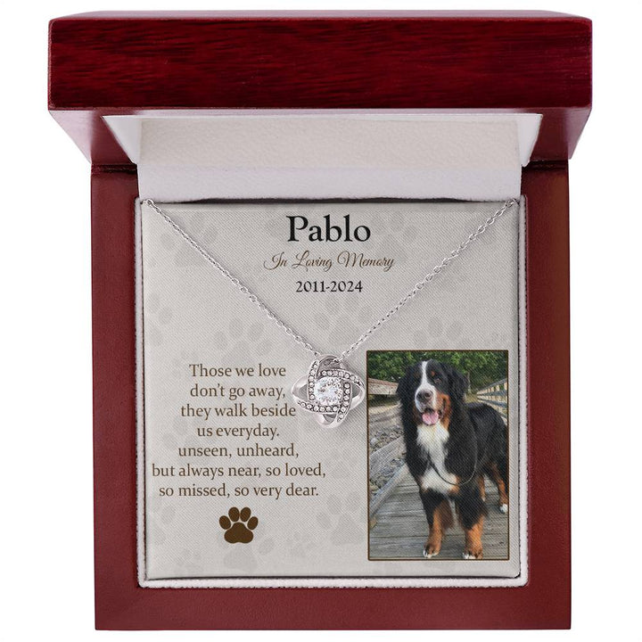 Those We Love Don't Go Away Dog Memorial Gifts - Message Necklace