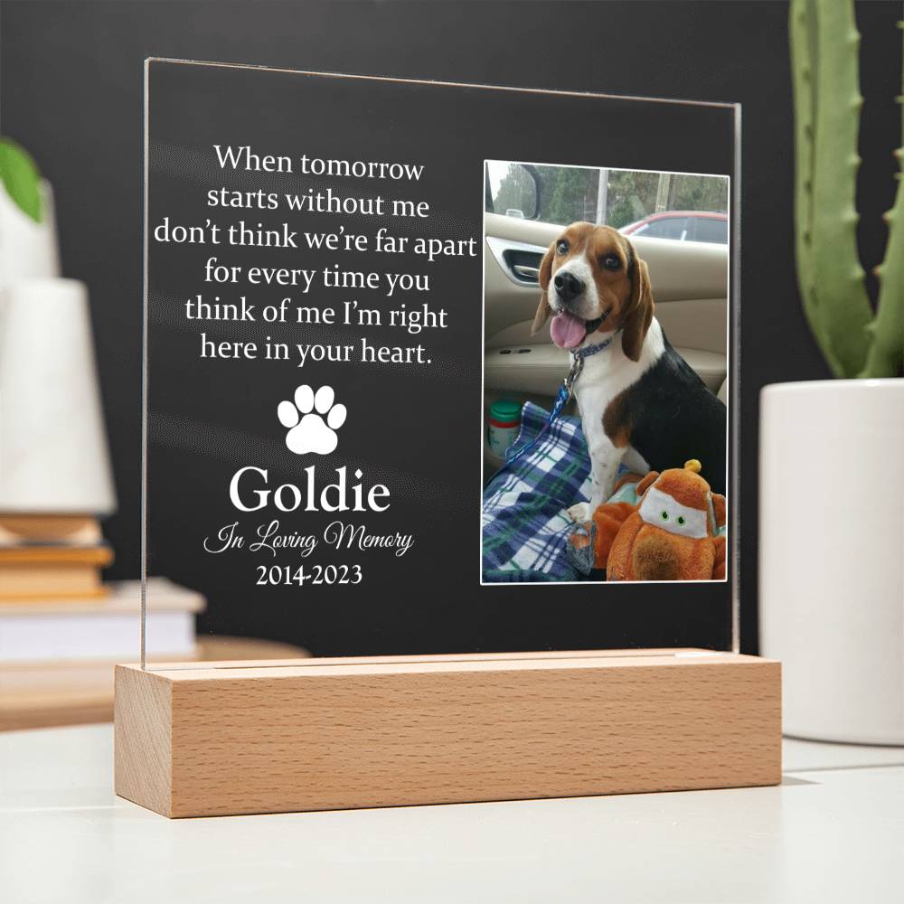 When Tomorrow Starts Without Me Dog Memorial Gifts - Acrylic Square Plaque