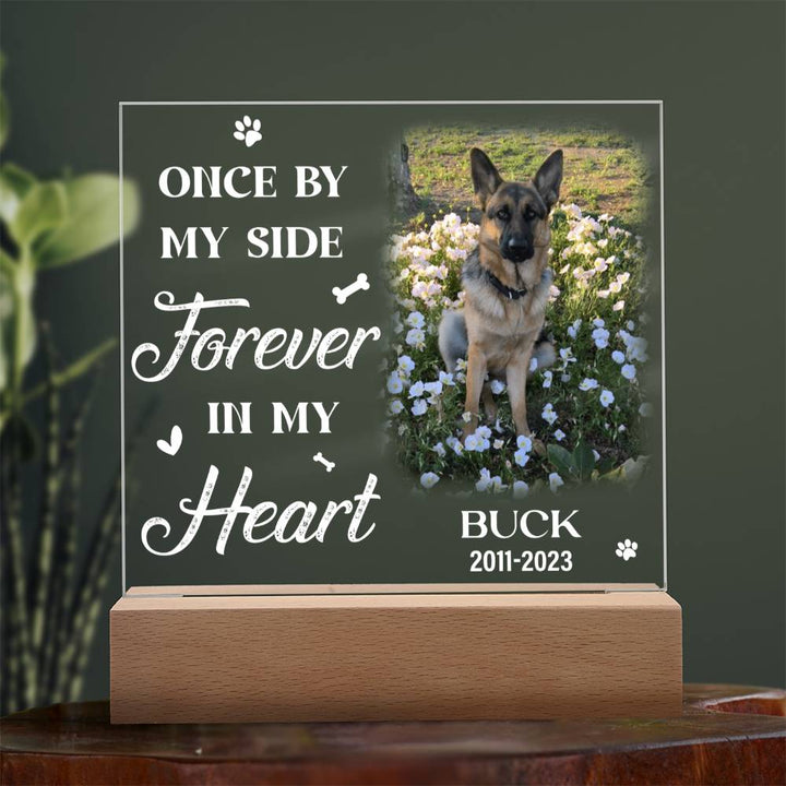 Once By My Side Forever In My Heart Dog Memorial Gifts - Acrylic Square Plaque