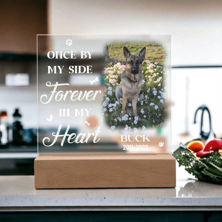 Once By My Side Forever In My Heart Dog Memorial Gifts - Acrylic Square Plaque