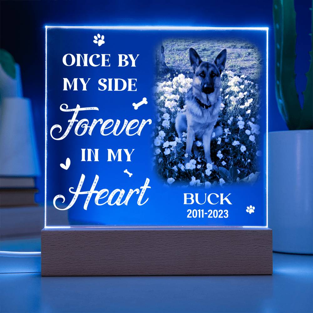 Once By My Side Forever In My Heart Dog Memorial Gifts - Acrylic Square Plaque