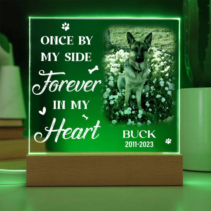 Once By My Side Forever In My Heart Dog Memorial Gifts - Acrylic Square Plaque