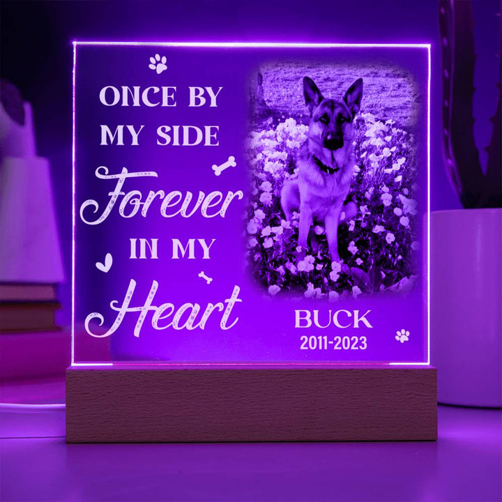 Once By My Side Forever In My Heart Dog Memorial Gifts - Acrylic Square Plaque