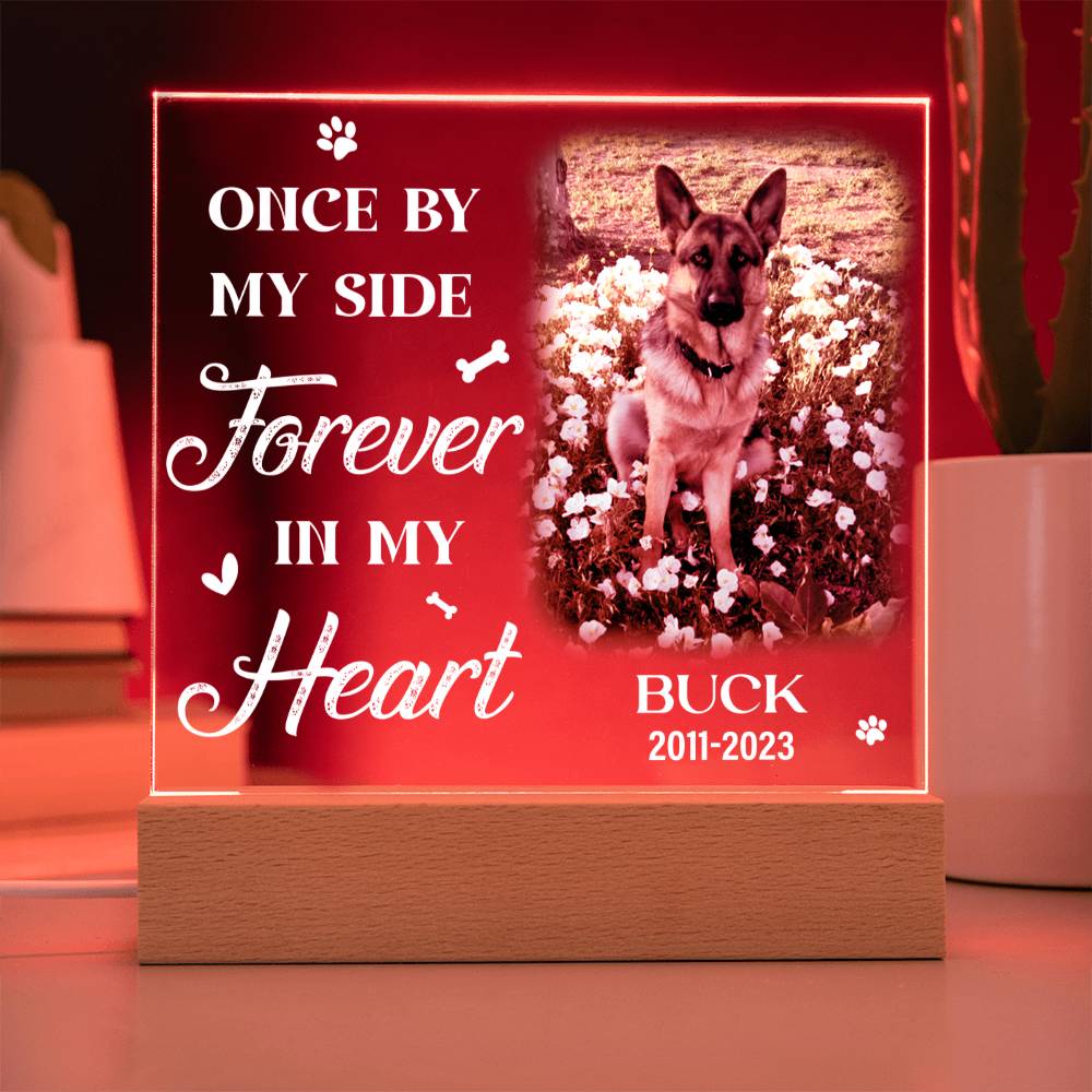 Once By My Side Forever In My Heart Dog Memorial Gifts - Acrylic Square Plaque