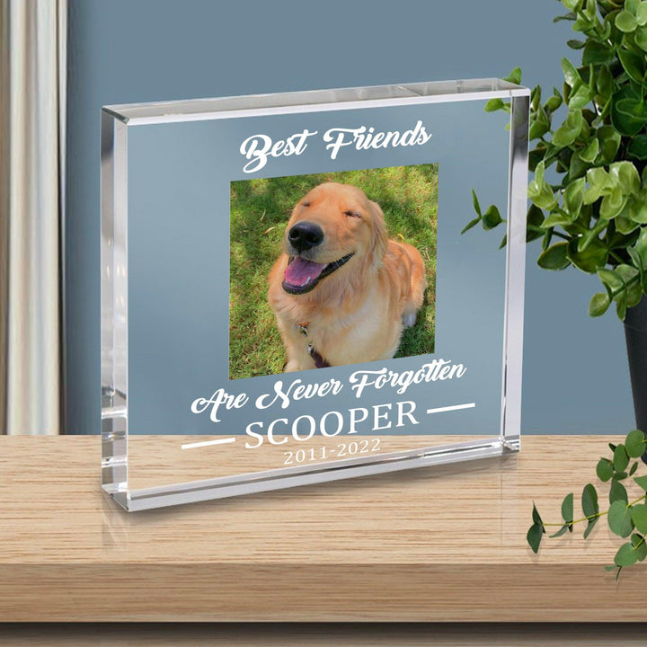 Best Friends Are Never Forgotten - Dog Memorial Gifts - Square Acrylic Plaque