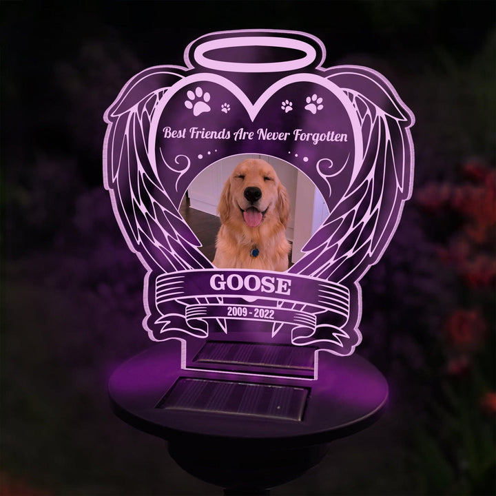 Best Friends Are Never Forgotten Dog Memorial Gifts - Solar Light