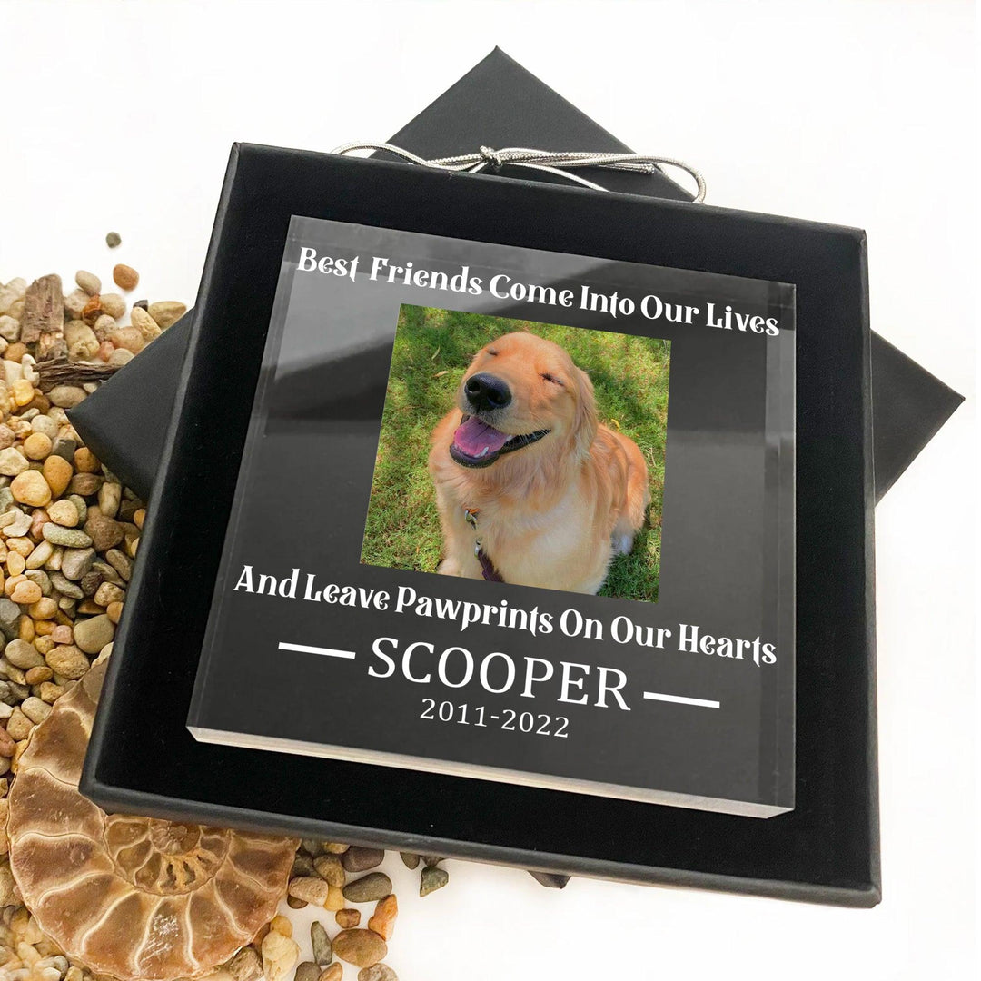 Best Friends Come Into Our Lives - Dog Memorial Gifts - Square Acrylic Plaque