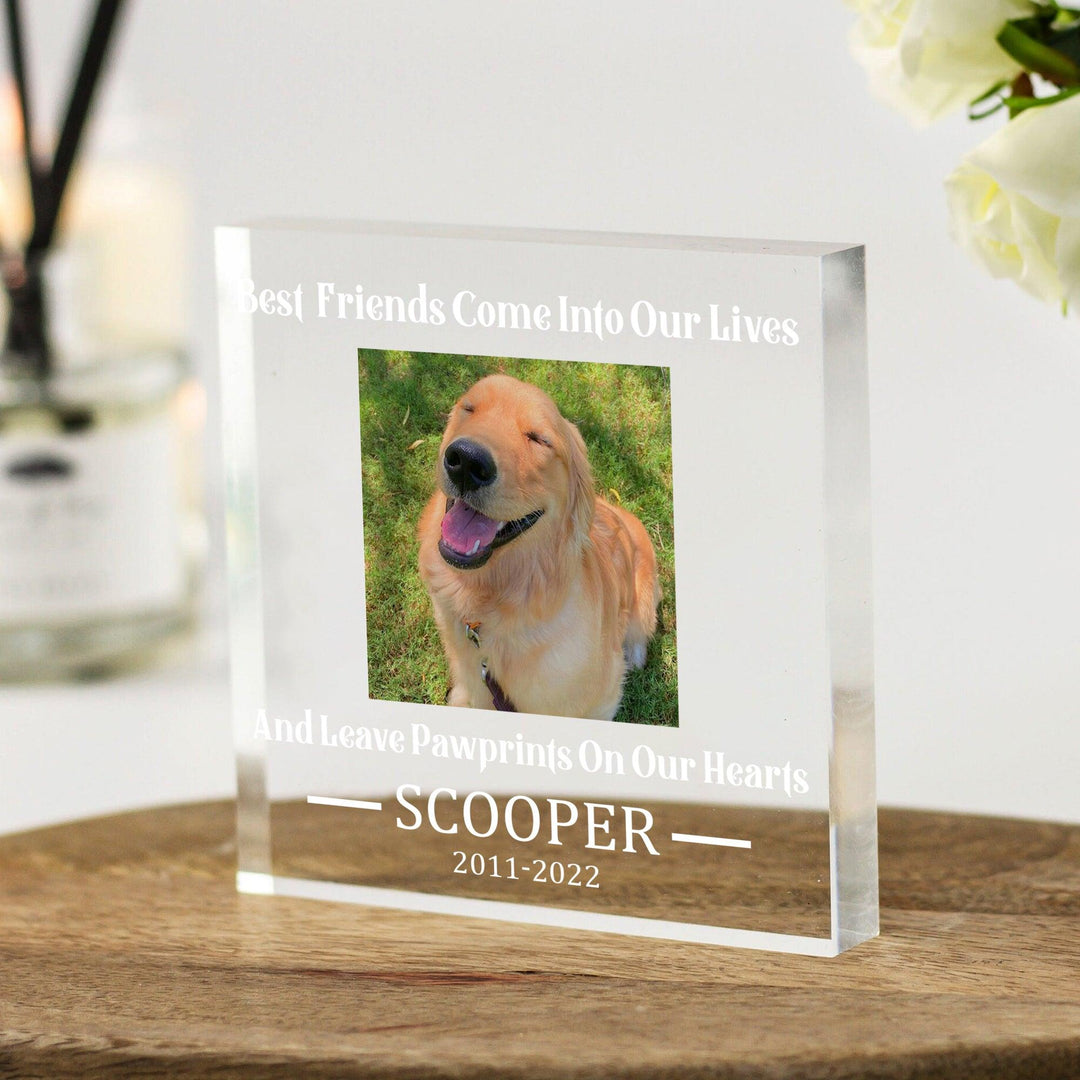 Best Friends Come Into Our Lives - Dog Memorial Gifts - Square Acrylic Plaque
