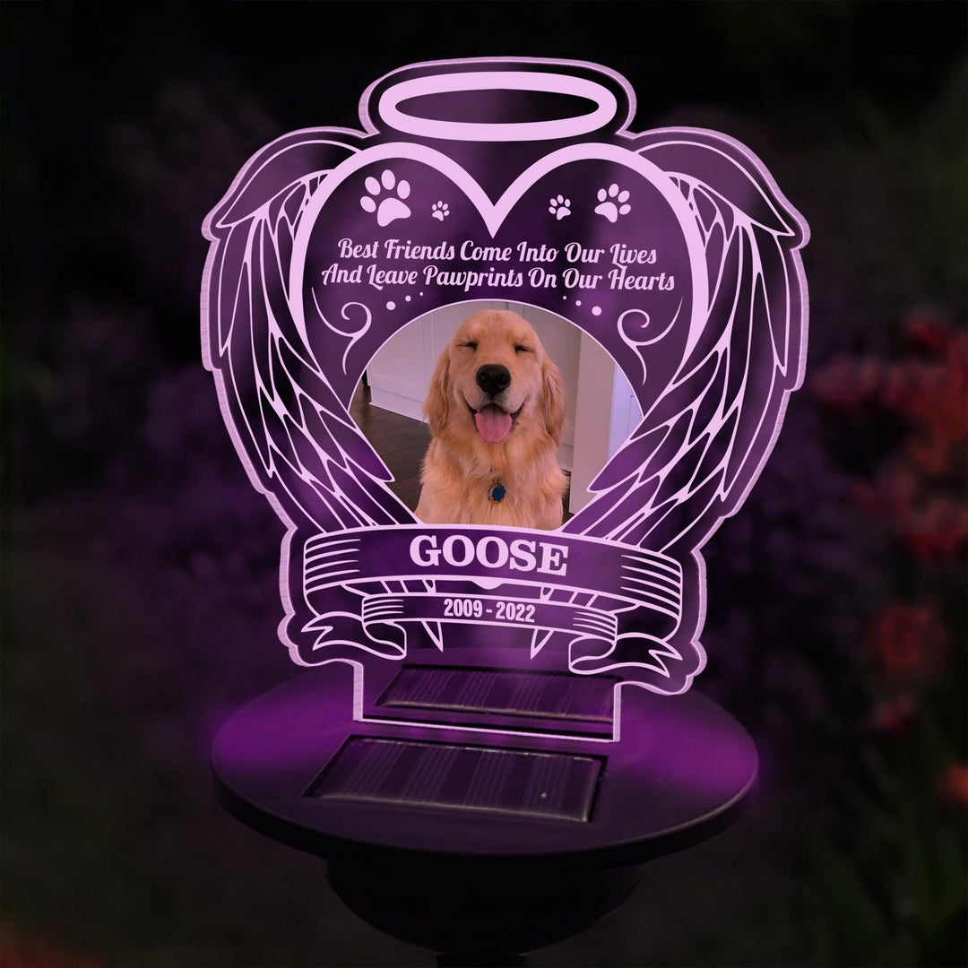 Best Friends Come Into Our Lives Dog Memorial Gifts - Solar Light