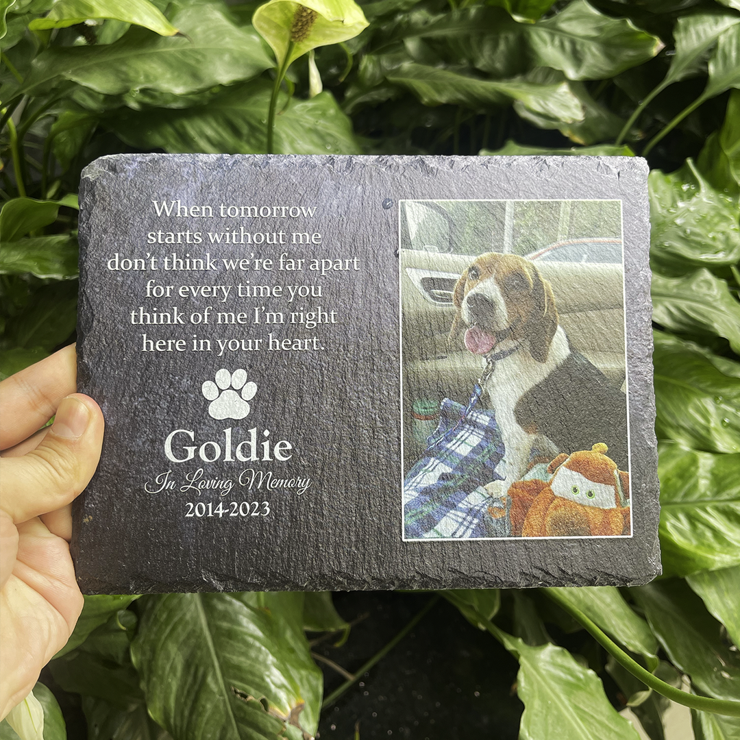 When Tomorrow Start Without Me- Personalized Dog Memorial Stone