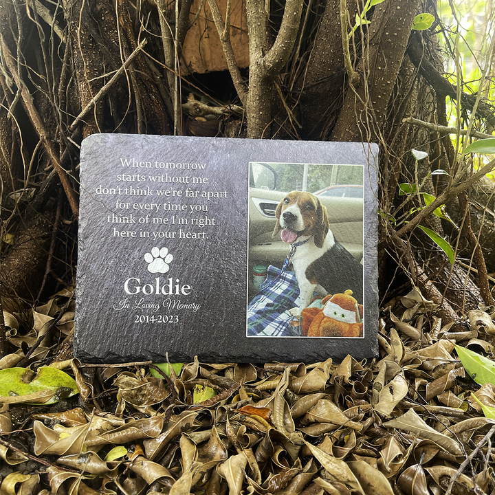 When Tomorrow Start Without Me- Personalized Dog Memorial Stone