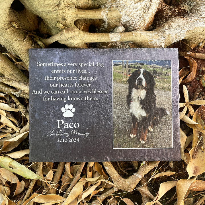 Sometimes A Very Special Dog Enters Our Lives - Personalized Memorial Stone