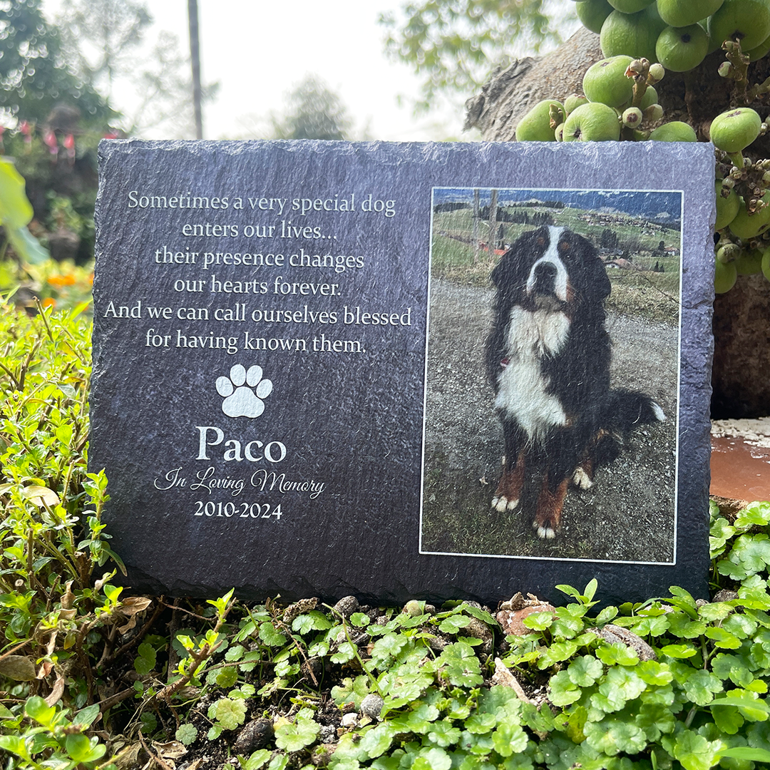 Sometimes A Very Special Dog Enters Our Lives - Personalized Memorial Stone