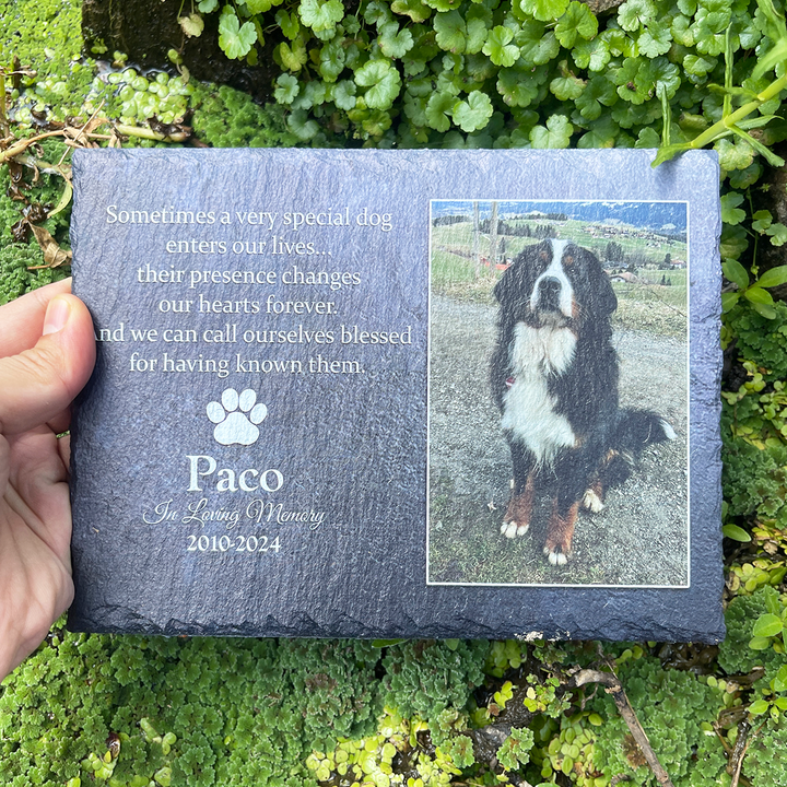 Sometimes A Very Special Dog Enters Our Lives - Personalized Memorial Stone