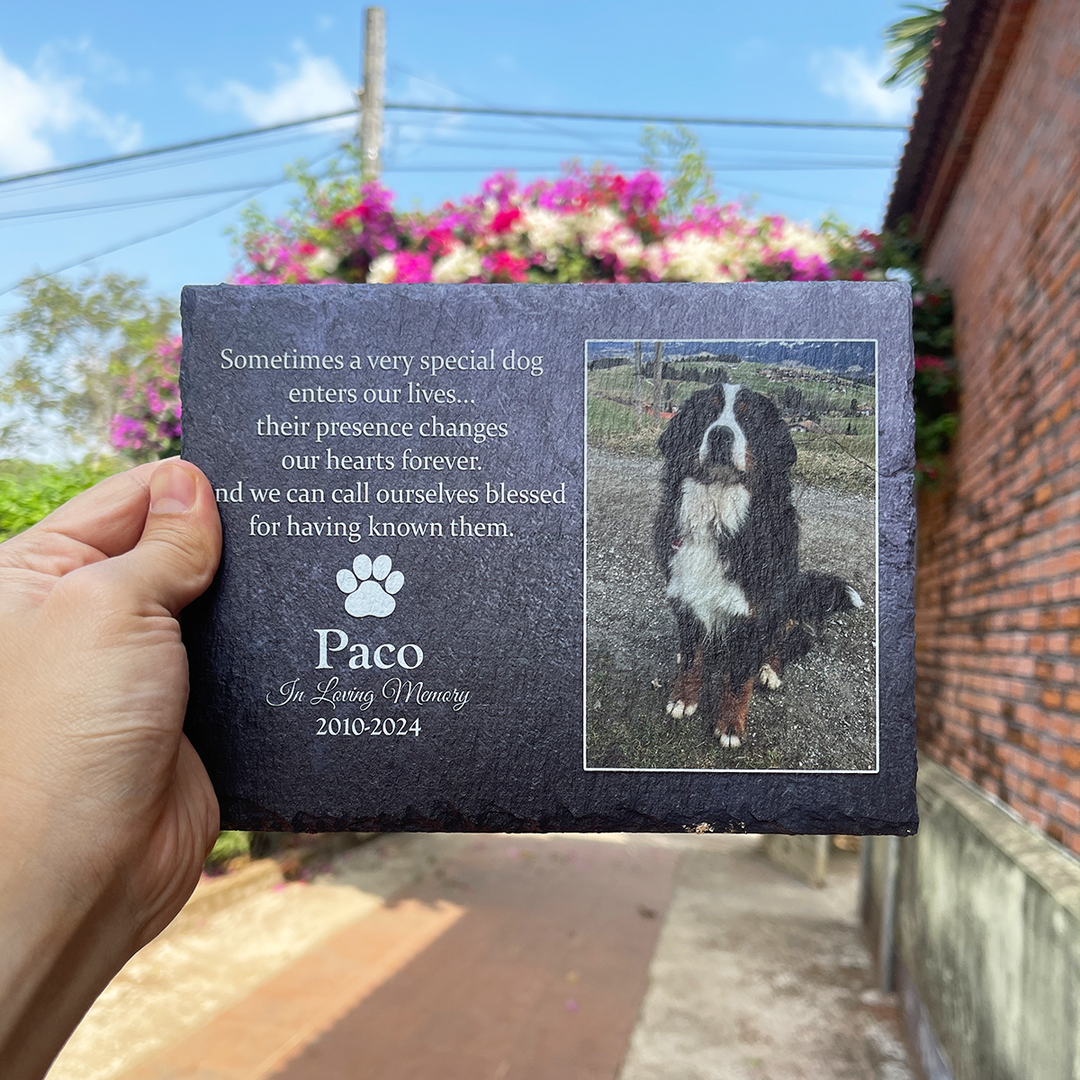 Sometimes A Very Special Dog Enters Our Lives - Personalized Memorial Stone