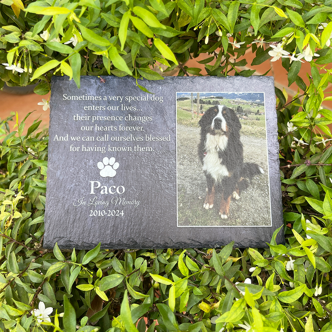 Sometimes A Very Special Dog Enters Our Lives - Personalized Memorial Stone