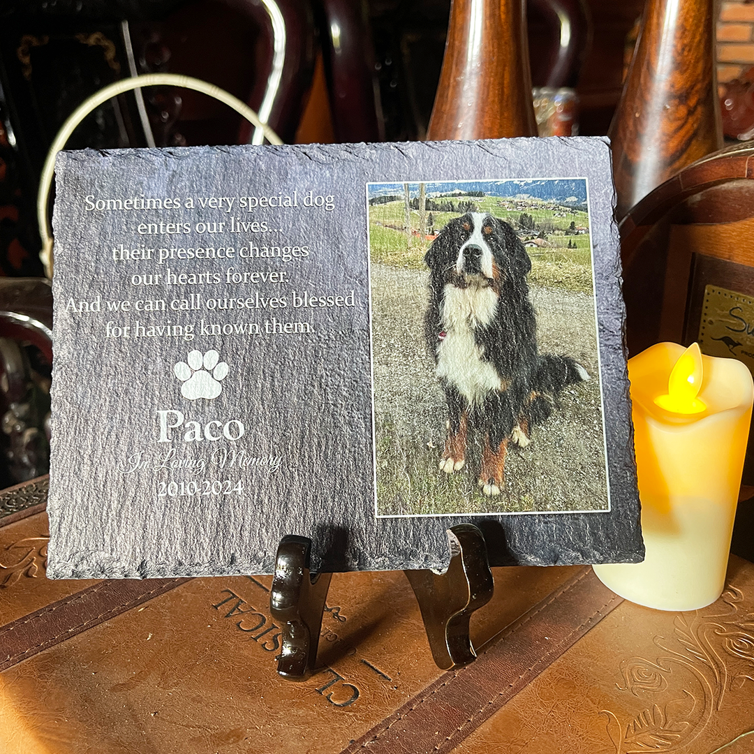 Sometimes A Very Special Dog Enters Our Lives - Personalized Memorial Stone