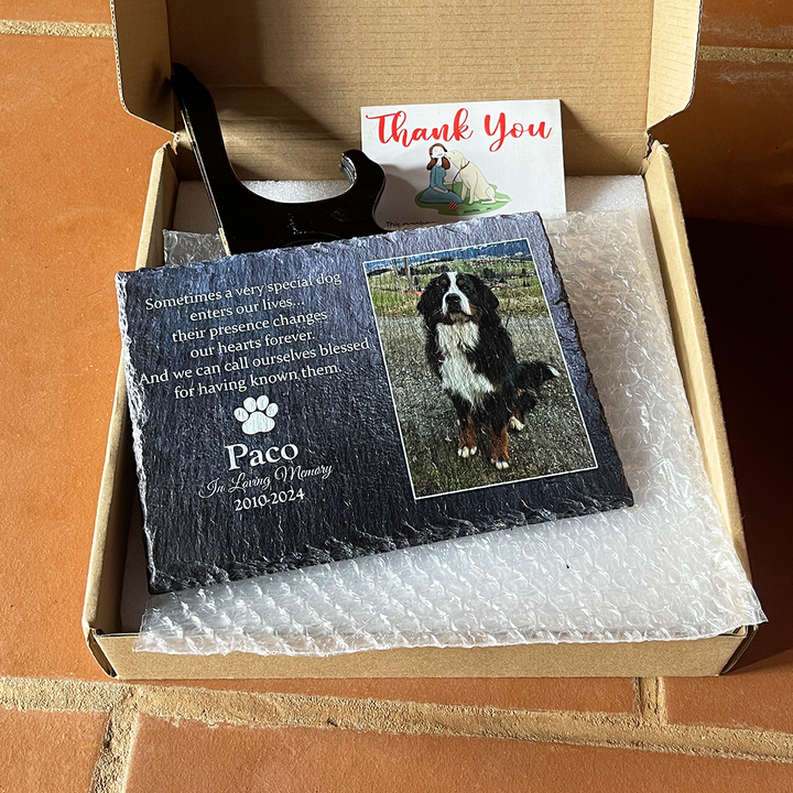 Sometimes A Very Special Dog Enters Our Lives - Personalized Memorial Stone